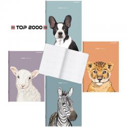 Zeszyt do słówek Top 2000 Sweet Animal A6/16k kratka